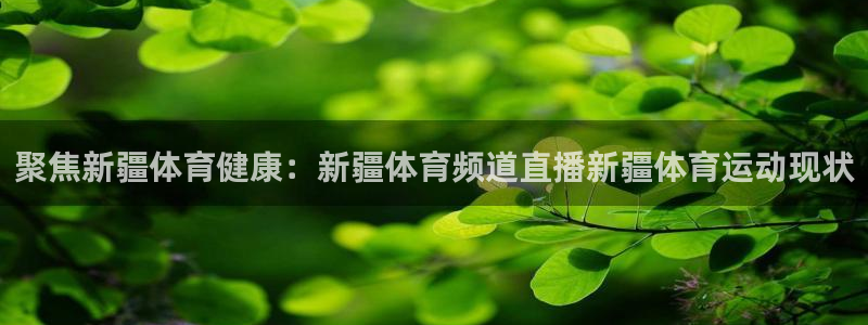 聚焦新疆体育健康：新疆体育频道直播新疆体育运动现状