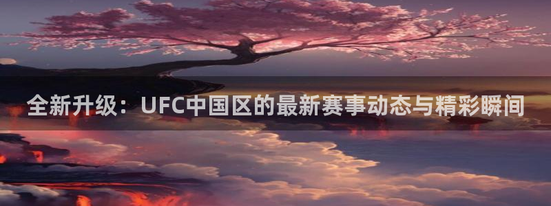 全新升级：UFC中国区的最新赛事动态与精彩瞬间
