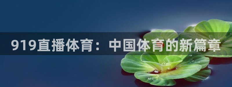 919直播体育：中国体育的新篇章