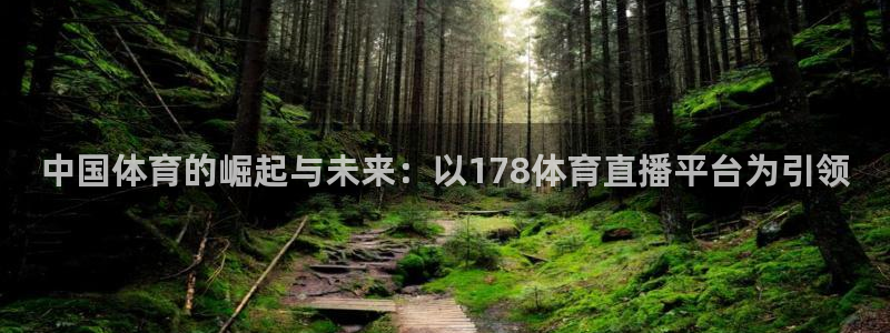 中国体育的崛起与未来：以178体育直播平台为引领