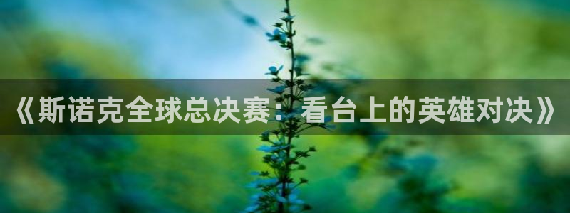 《斯诺克全球总决赛：看台上的英雄对决》