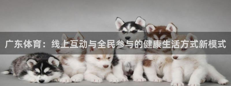 广东体育：线上互动与全民参与的健康生活方式新模式