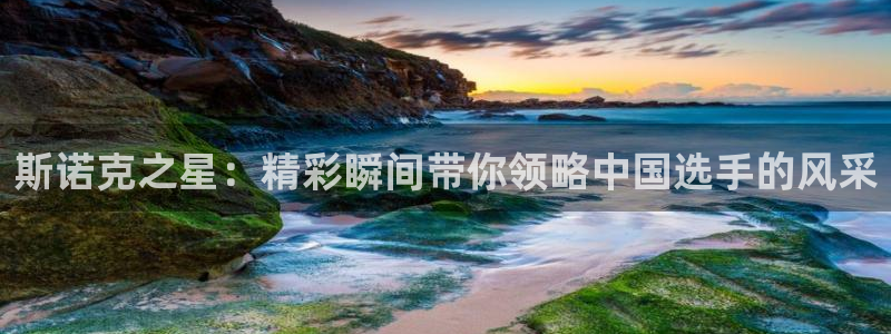 斯诺克之星：精彩瞬间带你领略中国选手的风采