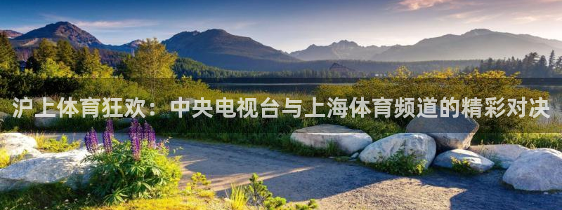 沪上体育狂欢：中央电视台与上海体育频道的精彩对决