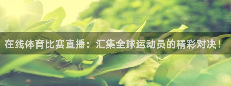 在线体育比赛直播：汇集全球运动员的精彩对决！