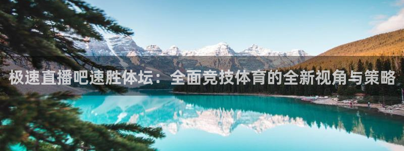 极速直播吧速胜体坛：全面竞技体育的全新视角与策略