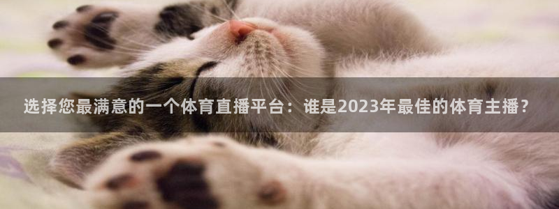 选择您最满意的一个体育直播平台：谁是2023年最佳的体育主播？