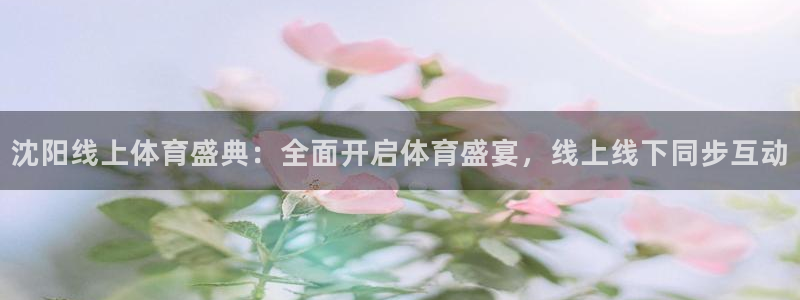 沈阳线上体育盛典：全面开启体育盛宴，线上线下同步互动