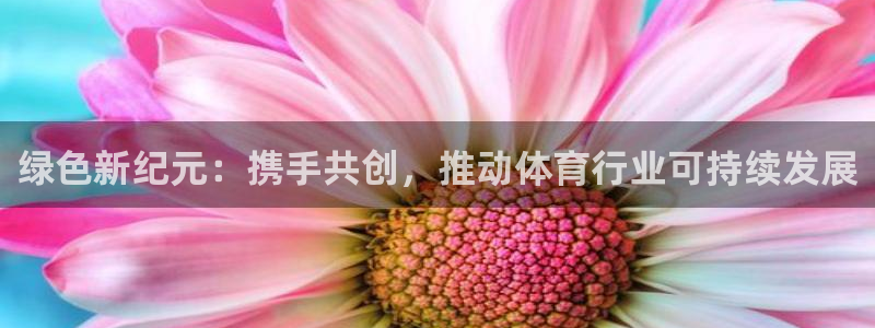 绿色新纪元：携手共创，推动体育行业可持续发展