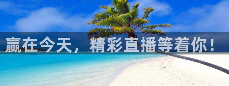 赢在今天，精彩直播等着你！