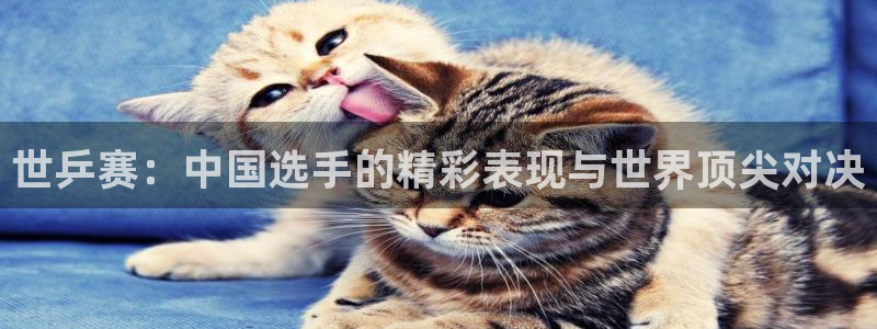 世乒赛：中国选手的精彩表现与世界顶尖对决