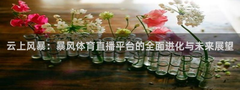 云上风暴：暴风体育直播平台的全面进化与未来展望
