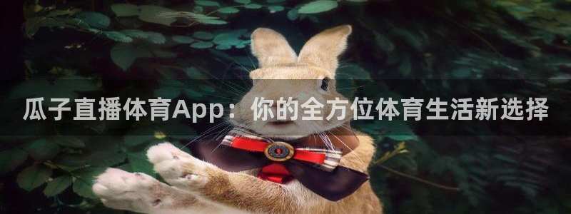 瓜子直播体育App：你的全方位体育生活新选择