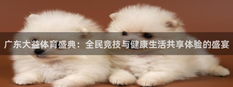 广东大益体育盛典：全民竞技与健康生活共享体验的盛宴