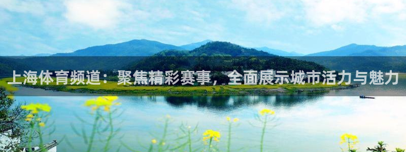 上海体育频道：聚焦精彩赛事，全面展示城市活力与魅力