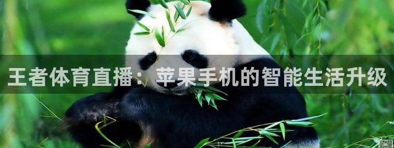 王者体育直播：苹果手机的智能生活升级