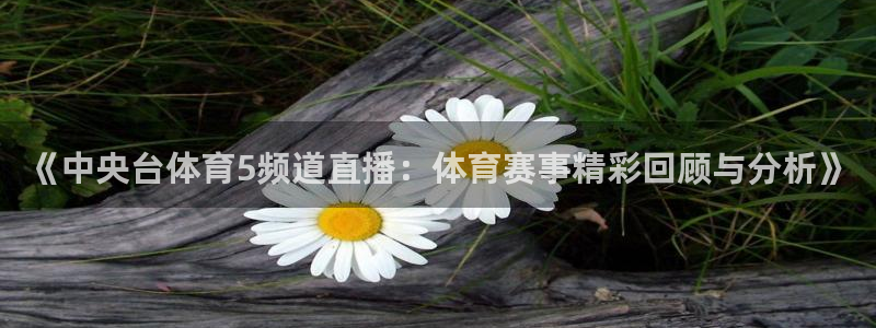 《中央台体育5频道直播：体育赛事精彩回顾与分析》