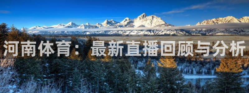 河南体育：最新直播回顾与分析