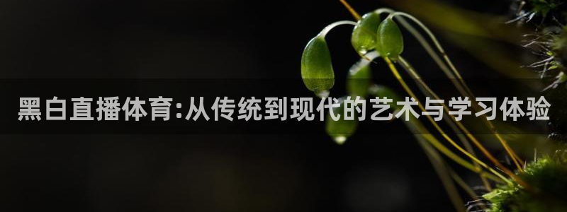 黑白直播体育:从传统到现代的艺术与学习体验