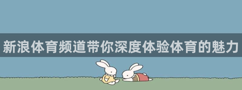 新浪体育频道带你深度体验体育的魅力