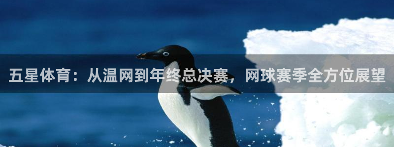 五星体育：从温网到年终总决赛，网球赛季全方位展望