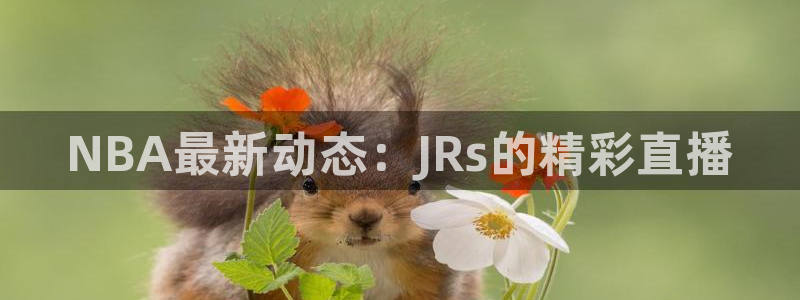 NBA最新动态：JRs的精彩直播