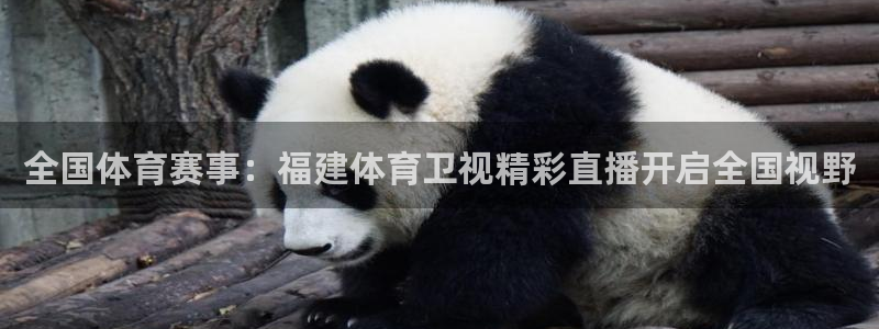 全国体育赛事：福建体育卫视精彩直播开启全国视野