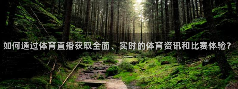 如何通过体育直播获取全面、实时的体育资讯和比赛体验？