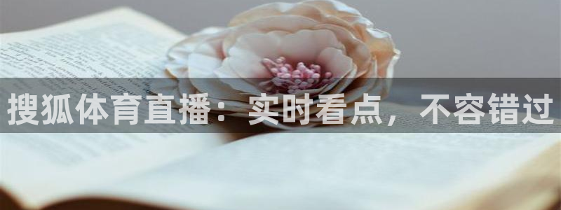 搜狐体育直播：实时看点，不容错过