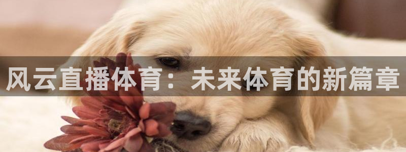 风云直播体育：未来体育的新篇章
