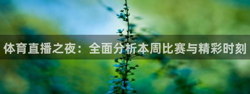体育直播之夜：全面分析本周比赛与精彩时刻