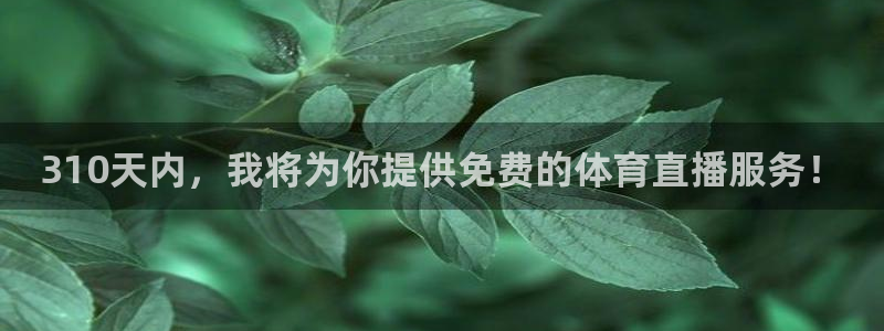 310天内，我将为你提供免费的体育直播服务！