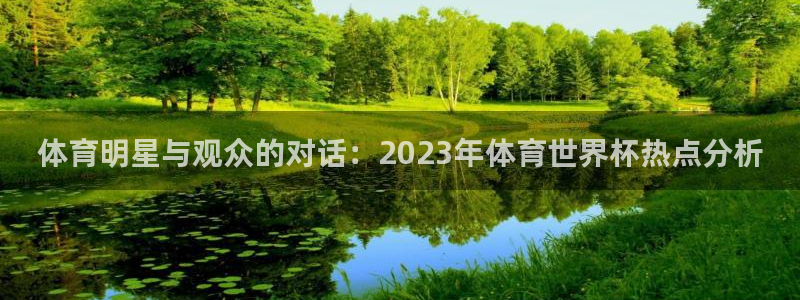 体育明星与观众的对话：2023年体育世界杯热点分析