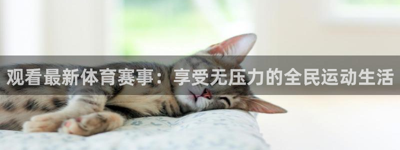观看最新体育赛事：享受无压力的全民运动生活