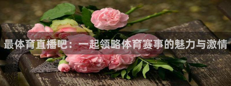 最体育直播吧：一起领略体育赛事的魅力与激情