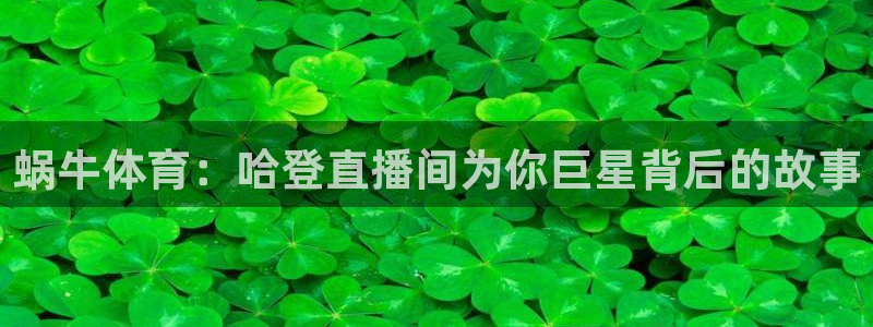 蜗牛体育：哈登直播间为你巨星背后的故事