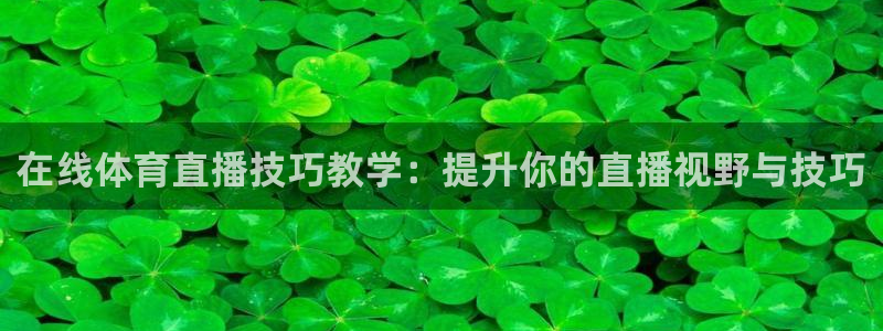 在线体育直播技巧教学：提升你的直播视野与技巧