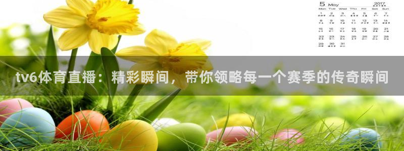 tv6体育直播：精彩瞬间，带你领略每一个赛季的传奇瞬间