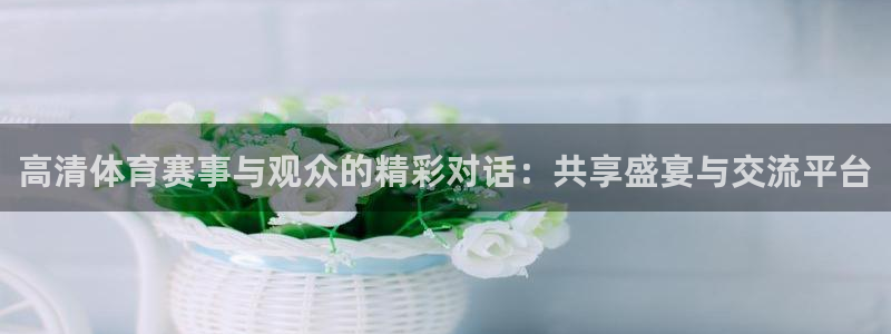 高清体育赛事与观众的精彩对话：共享盛宴与交流平台