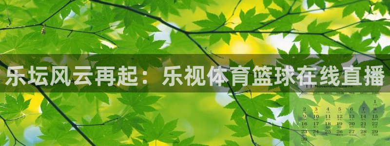 乐坛风云再起：乐视体育篮球在线直播