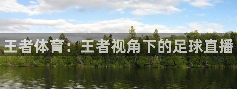 王者体育：王者视角下的足球直播