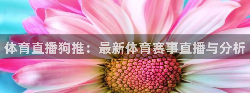 体育直播狗推：最新体育赛事直播与分析